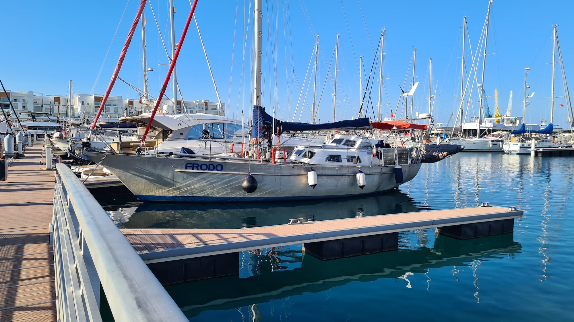 Frodo in der Marina von Tanger